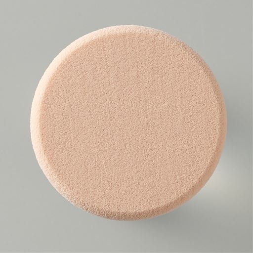 スポンジ付き<br>(ケース+レフィル:2枚、レフィル:1枚)