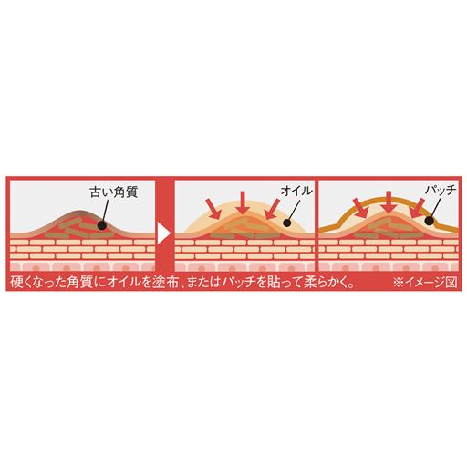 杏仁オイル(※1)で浸透(※)角質ケア<br><br>(※1)アンズ核油<br>(※)角質層まで
