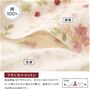 生地説明