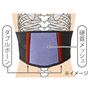 ダブルボーンと硬質メッシュ素材が背骨とあばらをしっかり支えサポートします。