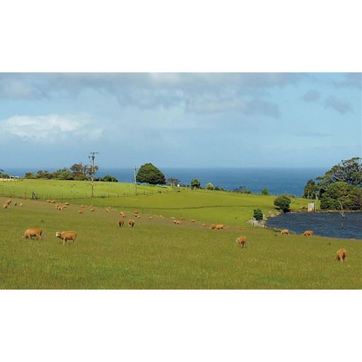 ※写真はイメージです