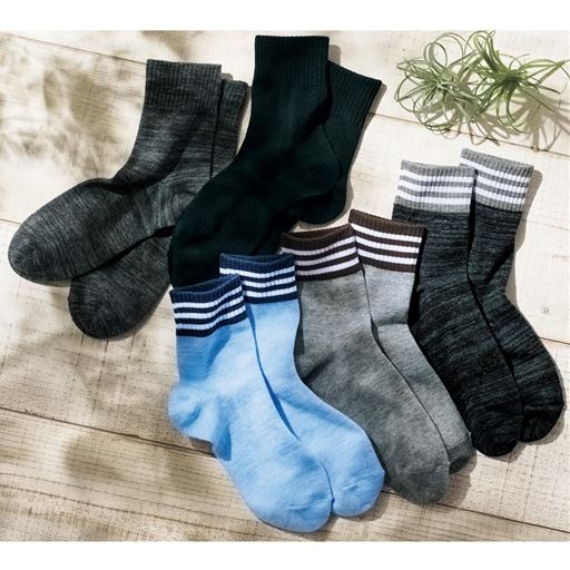 C 15cm丈色・柄違い5足組