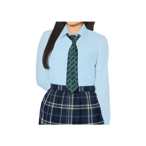 グリーンA<br>コーディネート例