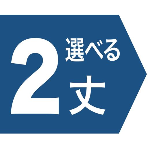 2選べる丈