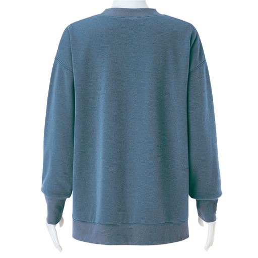 ウォッシュブルー バックスタイル