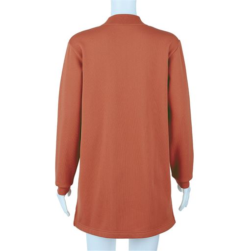 ダルオレンジ バックスタイル