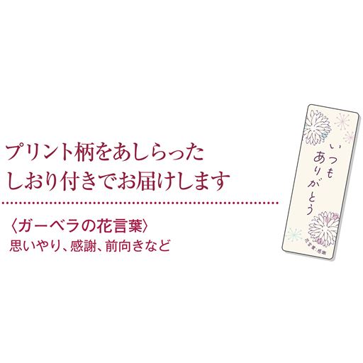 しおり付きでお届けします