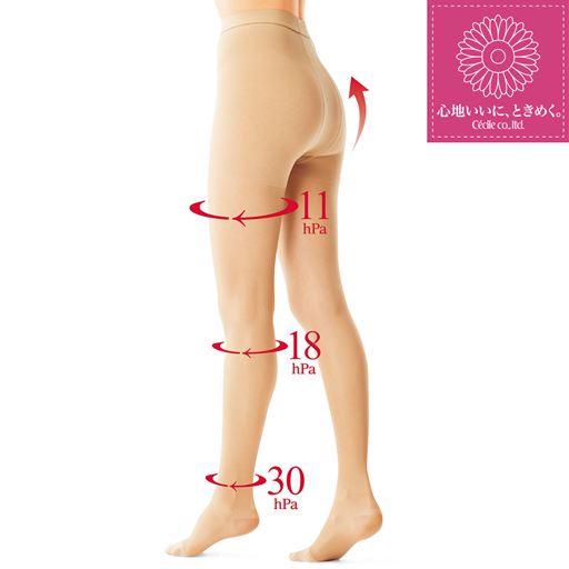 【シリーズ累計販売足数22万枚突破!(2025年8月末現在)】医療用と同じ編み機を利用した本格着圧ストッキング・超ハードタイプ。パワフルな着圧で、しっかり引き締め!ふともも、ふくらはぎ、足首のレッグ部分は、サポート力に強弱を付けた特殊メッシュ編み構造。