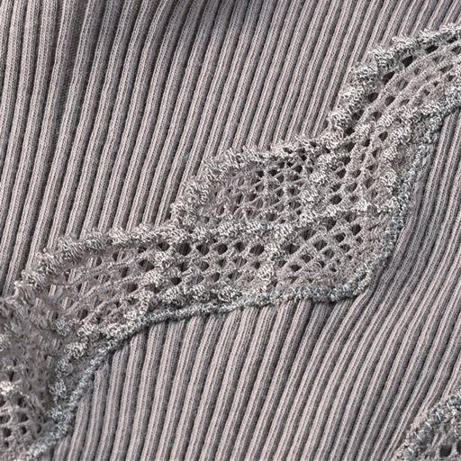 おしゃれな幾何柄ストレッチレース。