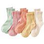 D(ミントグリーン/ピンク/アプリコット/ペールイエロー/オフ白) 色違い5足組