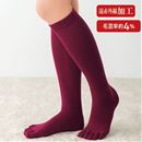 ５本指ハイソックス・同色２足組