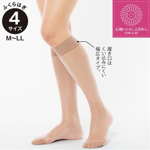 ふくらはぎサイズが選べるショートストッキング・同色5足組(さらり透明感・しっかりサポート)