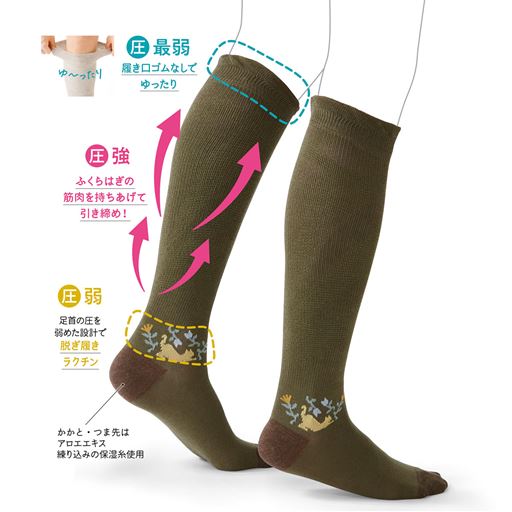 着圧ハイソックス らく圧®(セシール×大妻女子大学コラボ)