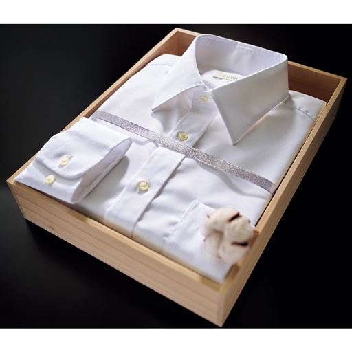 ホワイトA(レギュラー衿)