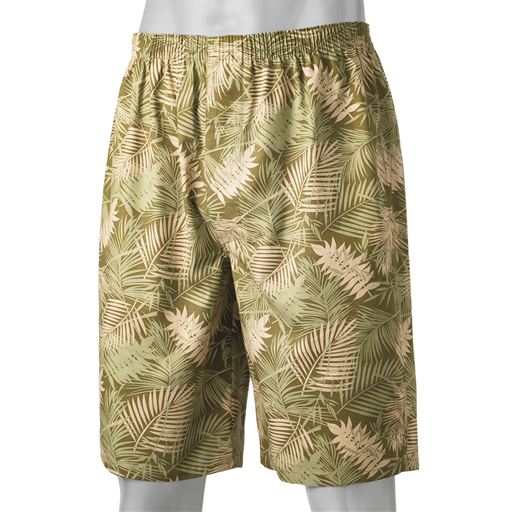 P(グリーン系)<br>色違い3枚組