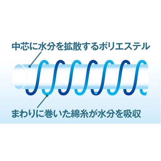 糸の構造 すばやく汗を吸収してすぐ乾き、お洗濯の後もシワにもなりにくい。