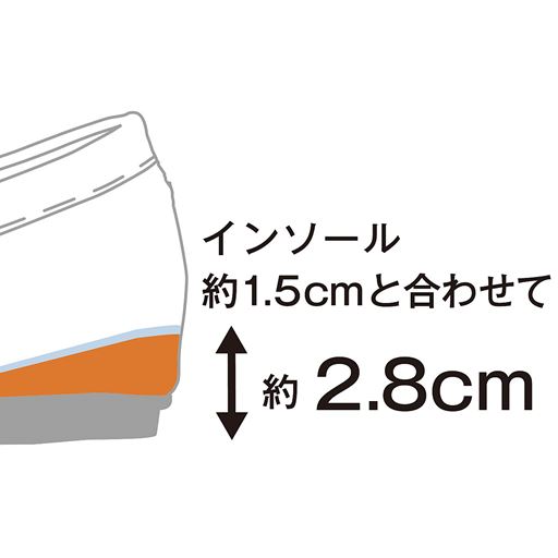 インソールによる脚長効果