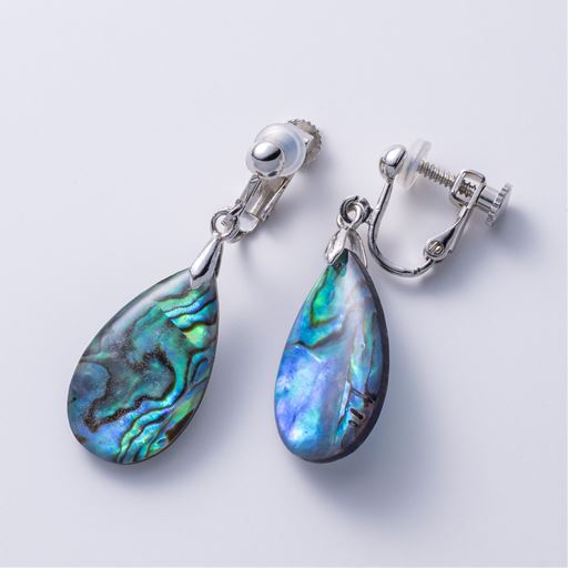 美しい虹色の輝きが特徴的なアバロンシェル