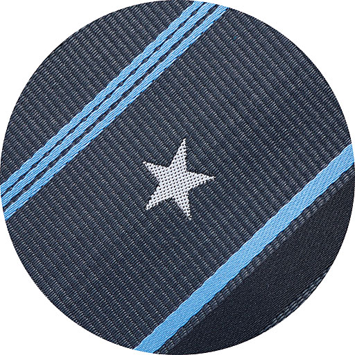 ネクタイ<br>柄UP