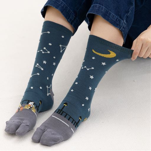 旅先での風景を絵にしたような靴下、つくりました!F(星座)着用例