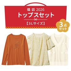 【3Lサイズ】コーデに大活躍!トップス3点セット