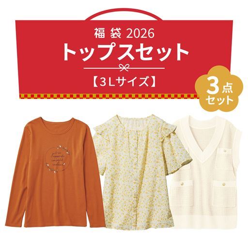 【3Lサイズ】コーデに大活躍!トップス3点セット
