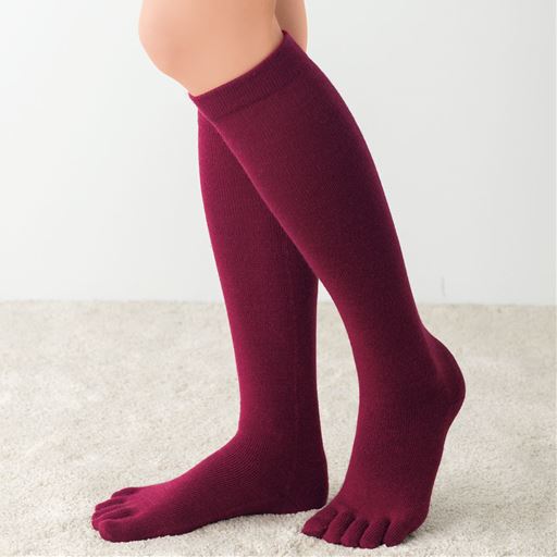 同じシリーズのハイソックス丈もあります(SL-763)