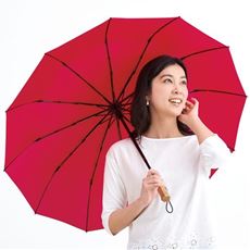 ［mabu］12本骨折りたたみ傘 江戸