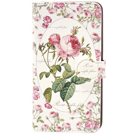 A(ロサ・ケンティフォリア)