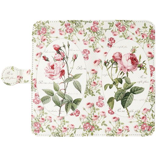 A(ロサ・ケンティフォリア)全体柄