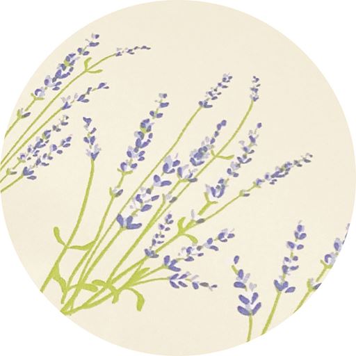 ベージュ <br>柄アップ