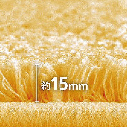 毛足の長さは最長約15mm。
