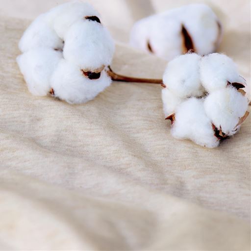 ベージュ<br>コットン100%でやさしい肌ごこち。