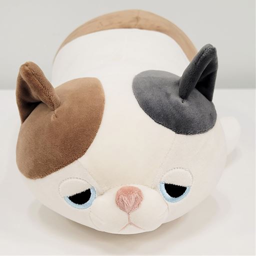 A (ゆず)<br>正面