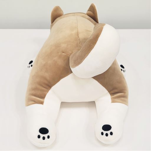 B (コタロウ)<br>後ろ