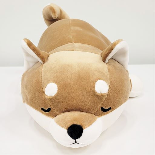 B (コタロウ)<br>正面