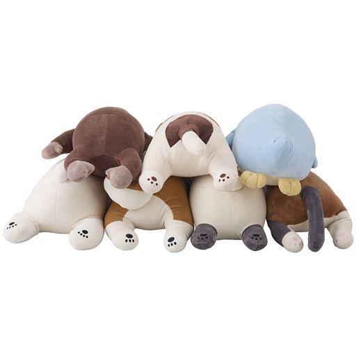 後ろ姿もとってもキュート!