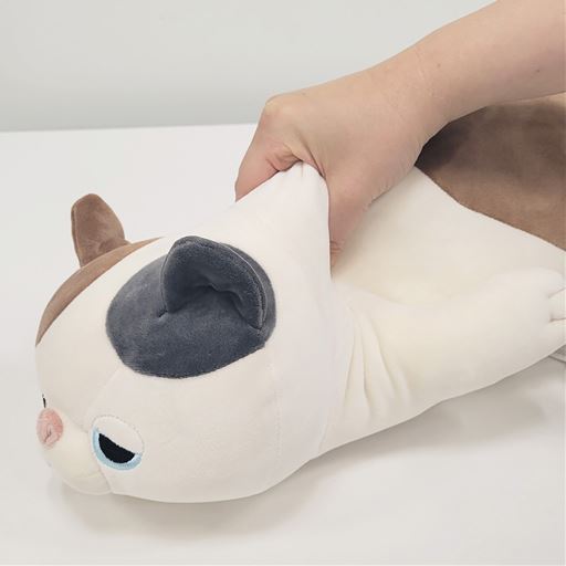 A (ゆず)<br>一度抱きついたら離せなくなる、もっちりとした感触。