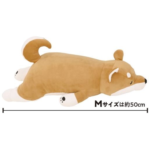 B (コタロウ)<br>Mサイズは体長約50cm。抱きしめるのにもちょうどいい大きさ。 ※キャラクターによってサイズが多少異なります。