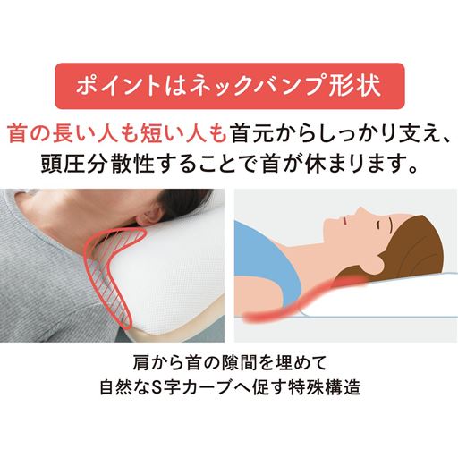 ポイントは首元のネックバンプ形状