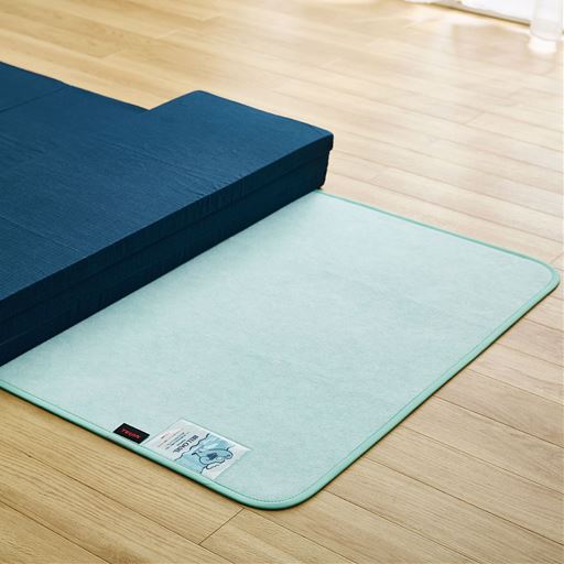 ブルー<br>冬場の結露や梅雨時のジメジメ対策にも。