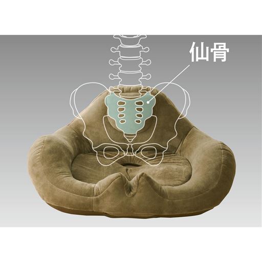 仙骨とは骨盤の中心にある骨を支える土台の骨です。仙骨を支えることで骨盤が立ち、キレイな姿勢へと導きます。