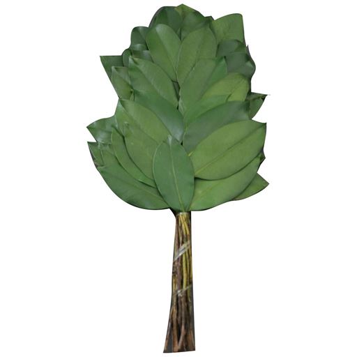 本物の生木をプリザーブド加工しているので、神様にためらことなくお供えできます。