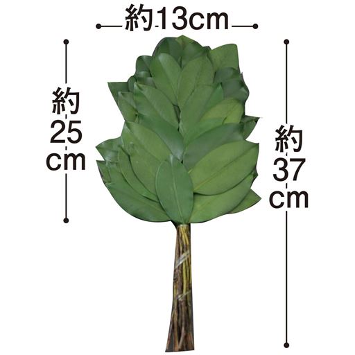プリザーブド榊(1対)