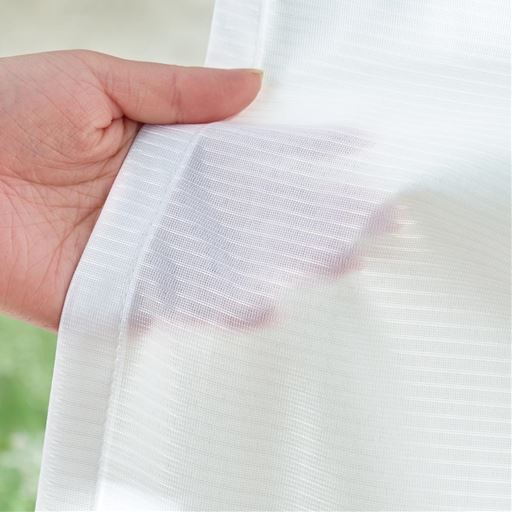 横ボーダーの無地調レース。