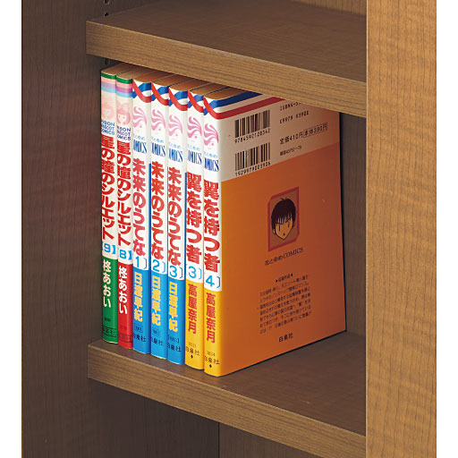 A～D (奥行21cm)<br>コミックにぴったり!