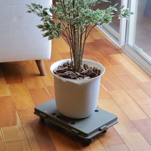 植木鉢を乗せて