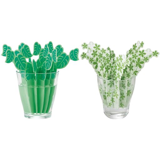 B (グリーンセット)<br>モンステラとシュガーバインのセット