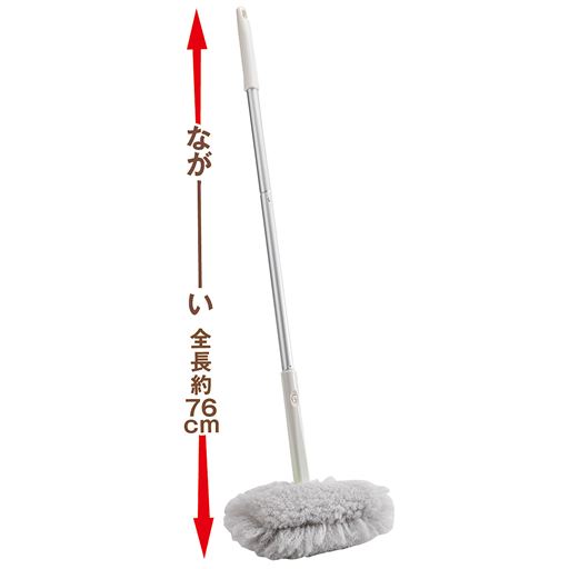 ながーい 全長約76cm