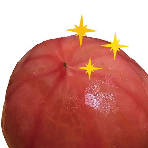 トマトやキウイなどの柔らかい皮も!